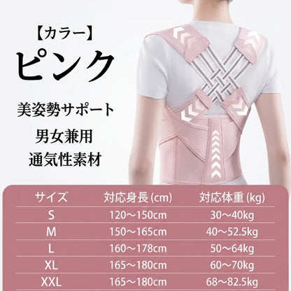 調整可能な姿勢矯正ベルト 背中サポート 脊椎アライメント ウエストトレーナー 男女兼用 腹部ウエスト矯正